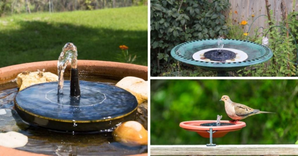 8 Best Solar Fountain Pump Reviews for 2026 Best Solar Fountain Pumps