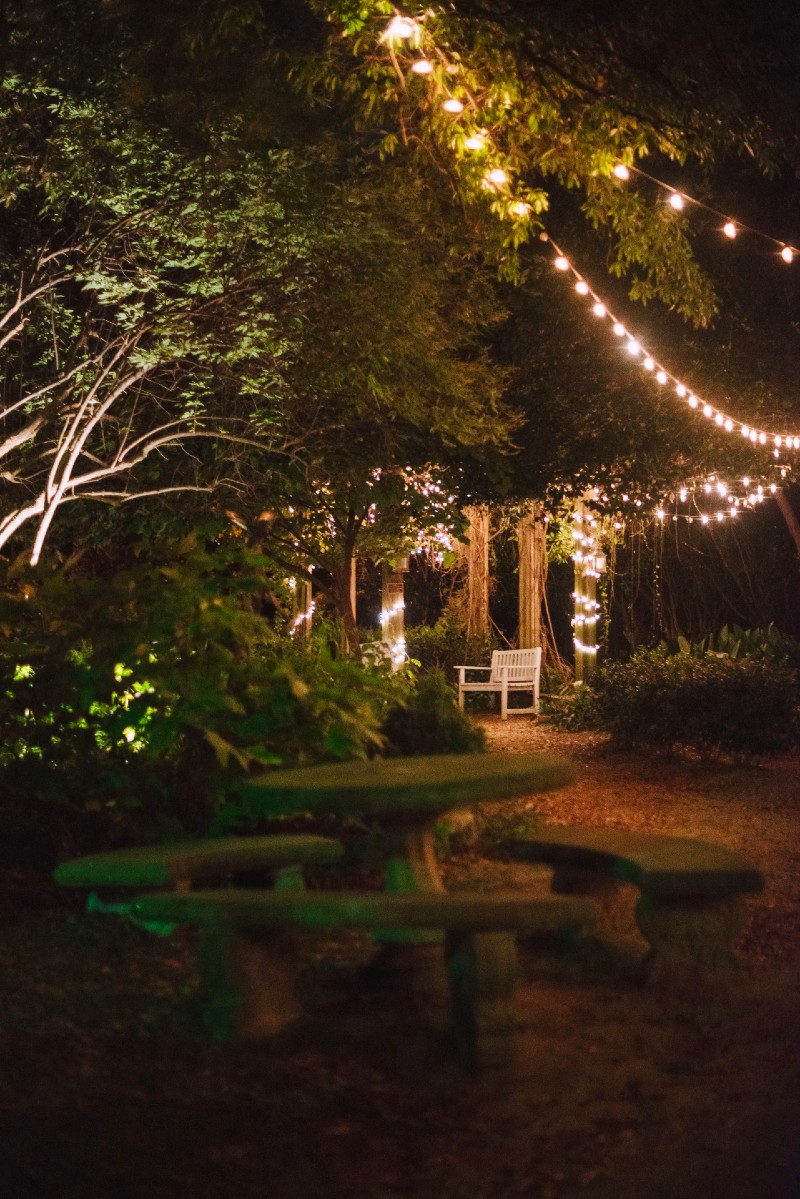 solar string lights