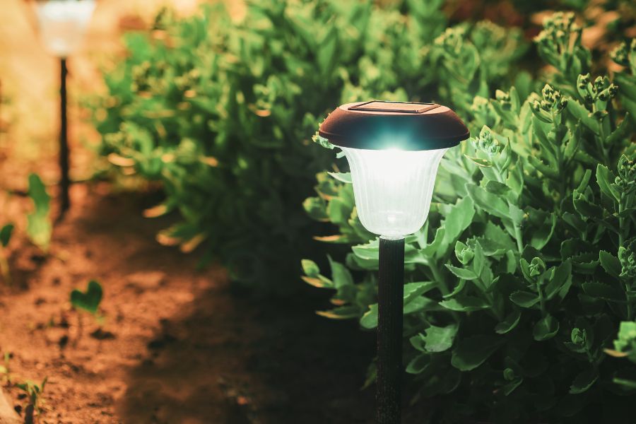 Small solar garden light in flower bed